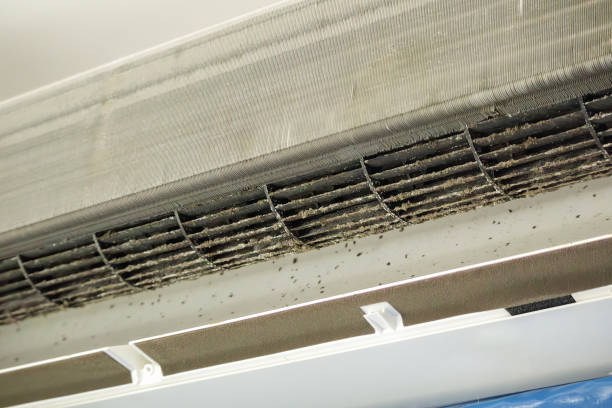 Best Best Air Duct Cleaning Company  in Forsyth, MT